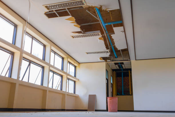 Best 24/7 water damage repair  in Fountain, CO