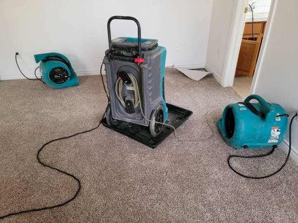 Best Fire Damage Restoration  in Fountain, CO