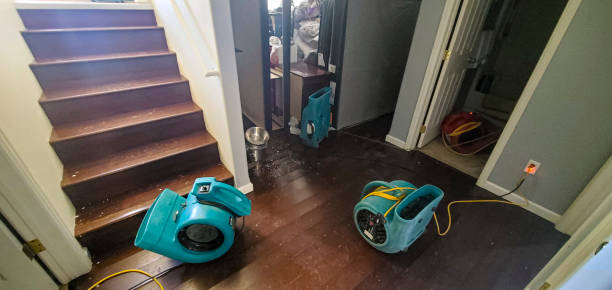 Best Carpet water damage restoration  in Fountain, CO