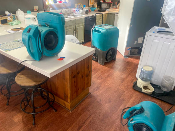  Fountain, CO Water damage restoration Pros