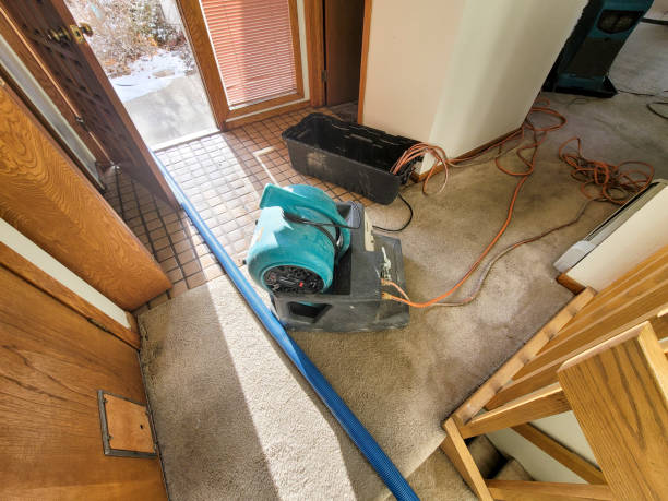 Best Emergency water extraction  in Fountain, CO