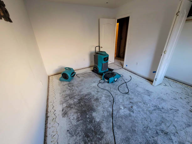 Best 24-hour water damage restoration  in Fountain, CO