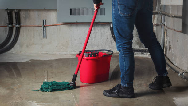 Best Water damage cleanup near me  in Fountain, CO