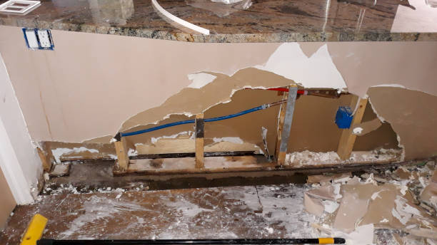 Best Water damage restoration cost  in Fountain, CO