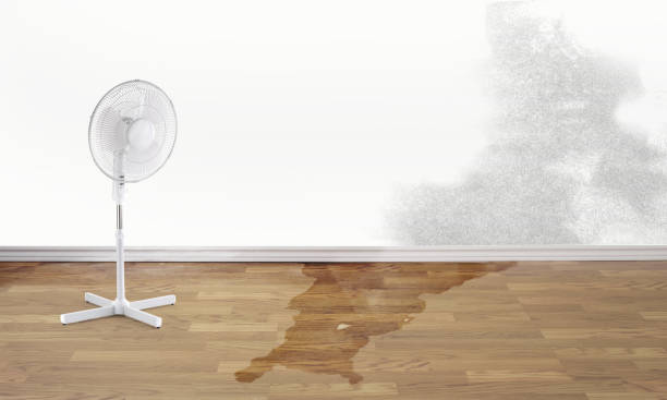 Best Water damage restoration near me  in Fountain, CO
