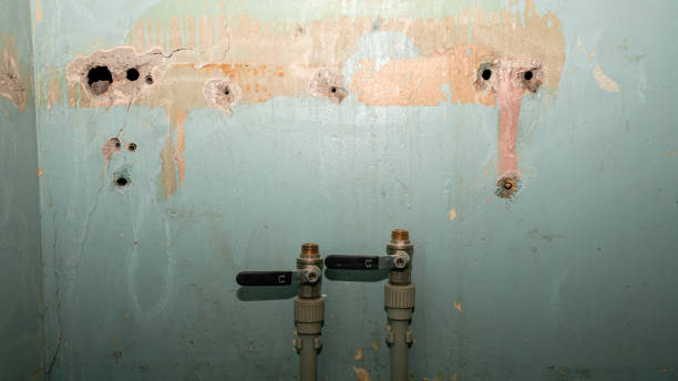Fountain, CO Water damage restoration Company