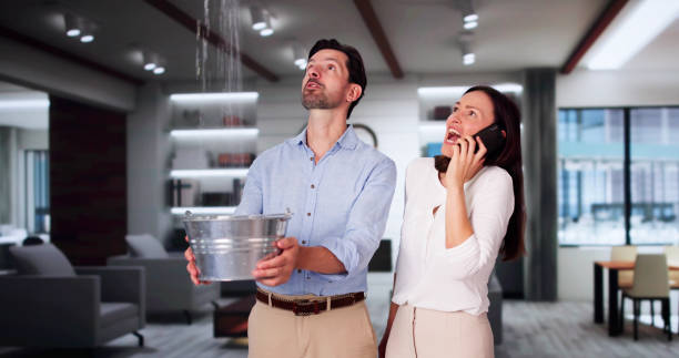Best Professional water damage repair  in Fountain, CO